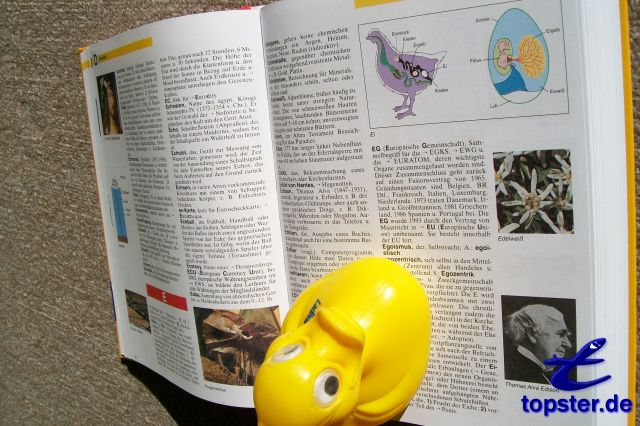 Я также смарт