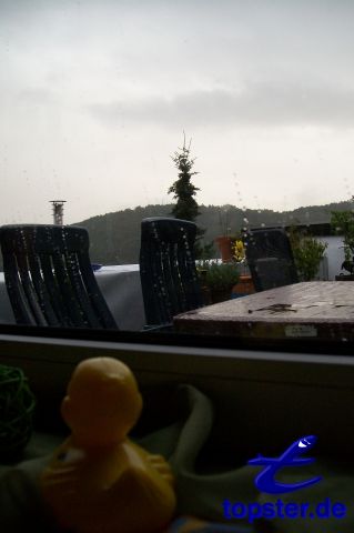 Oh человек, поэтому плохой погоды для уток :(