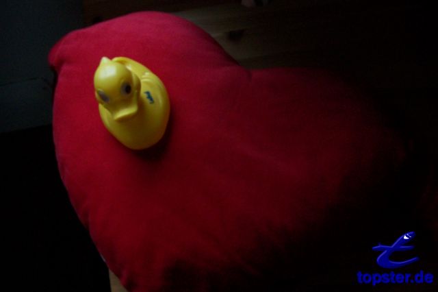 Я до сих пор не нашли к сожалению моя большая любовь уток