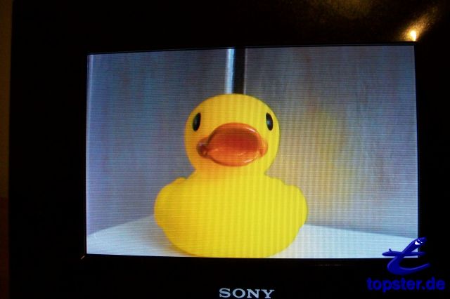 Уютный вечер утка, я смотрю телевизор уток