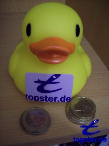 У меня есть много уток также деньги