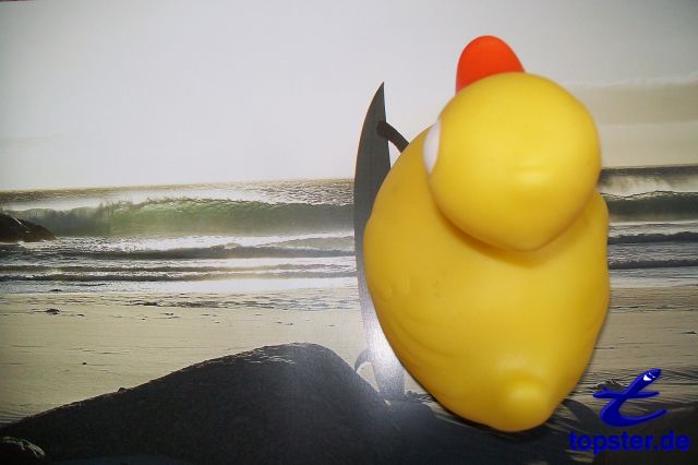 Я меня однажды отвлекаться, серфинг с горячей раунд