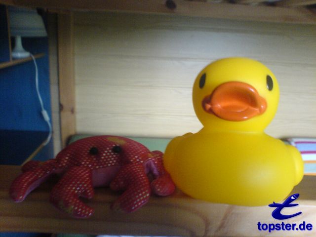 Я и мой друг