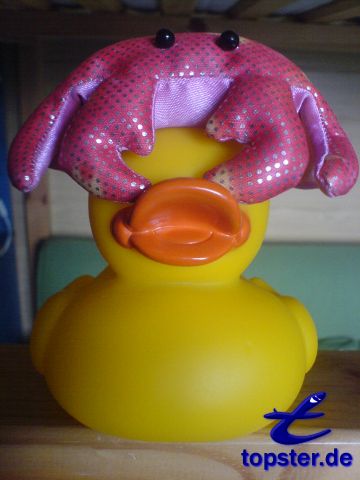 Krabbi, полностью плохо на меня