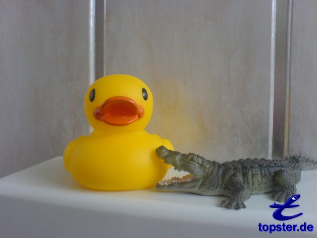 Да нет, теперь я буду бит равный. Справка!