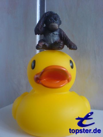 Я могу только обезьяна и даже думать обезьяна!