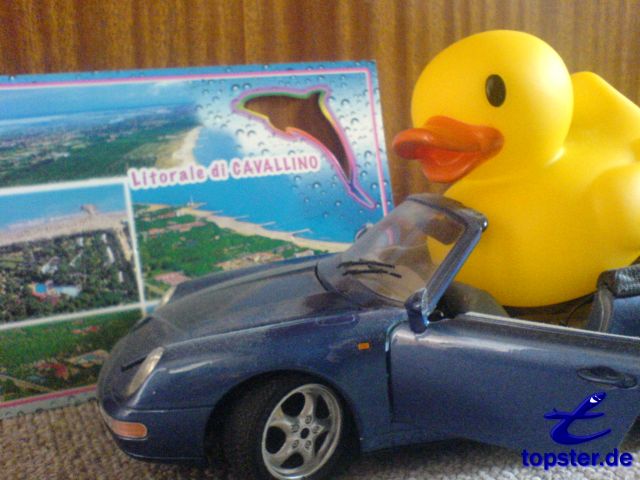 По всему миру!