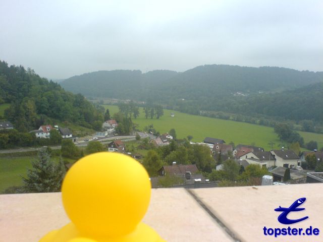 Здесь я смотрю за моей земли утка