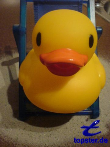 Фотография из моего отпуска утка. Средняя летом я провел каникулы в Италии