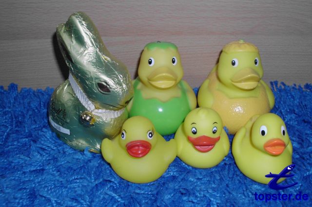 Утка семьи с Пасхальный кролик