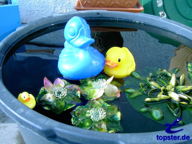 Мэнди, мой брат и я в повседневной Schönheitsschwimmchen