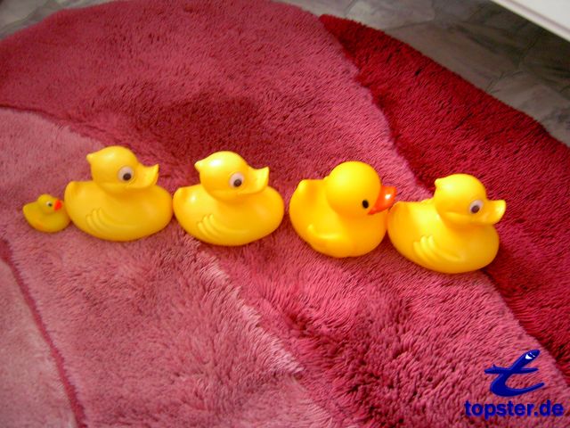 Утка партия! Мы делаем полонеза