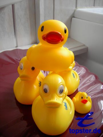 Наш клуб утка делает пирамиды