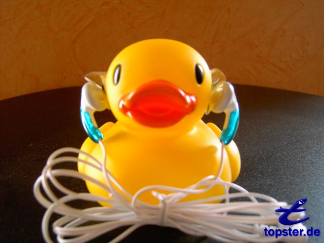 После работы я слышу прохладно утка, чтобы холод музыки