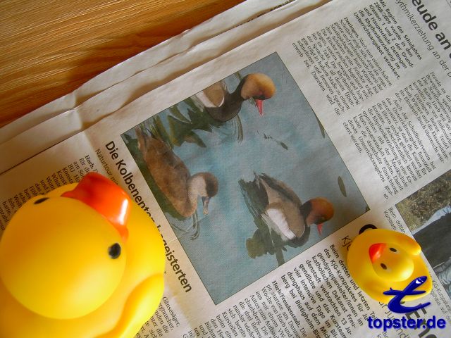 О моих собственных рода я буду пусть мне хорошо