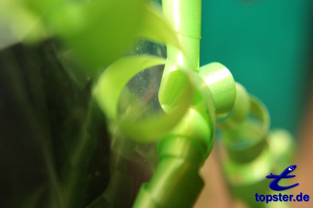 Зеленый петля