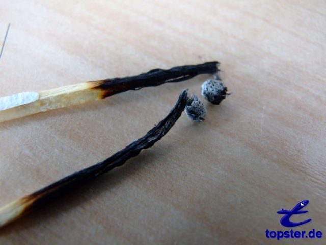 Матч (обугленные)