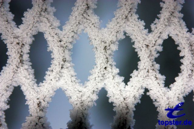 Ледяной забор