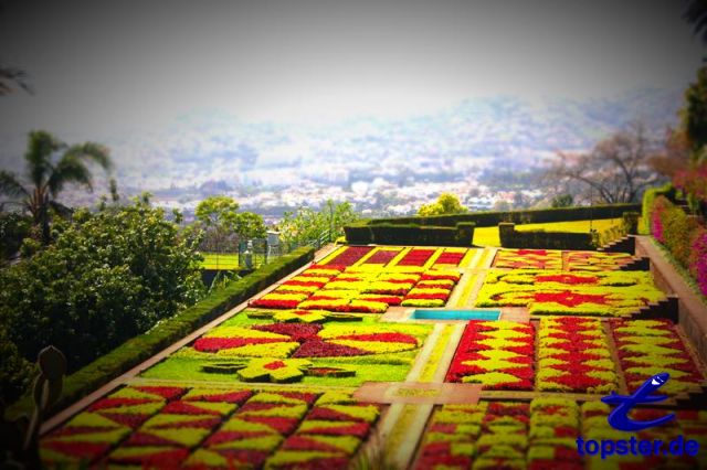 Ботанический сад в городе Фуншал