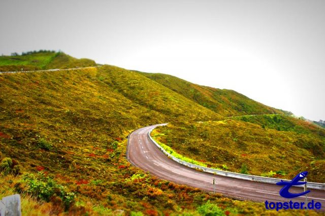 Горная дорога