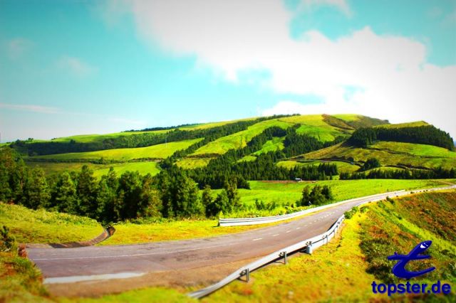 Сельская дорога