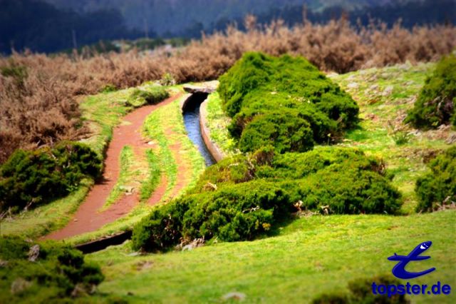 Lavada на Мадейре