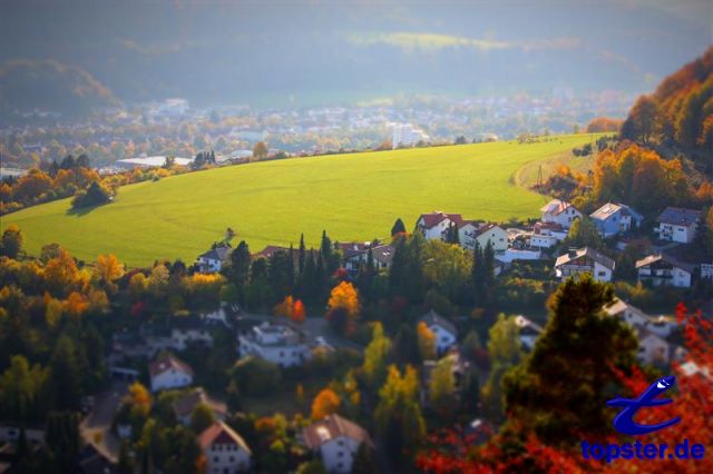 Альбштадт-Ebingen - луг