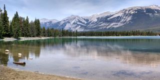 Эдит озеро, Джаспер