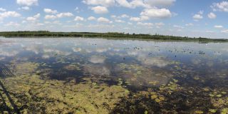 Спринг-Лейк