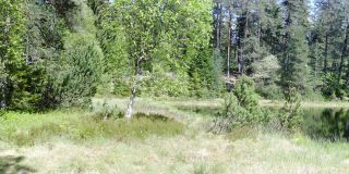 Herrenwieser озеро, Северная черная пуща