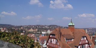 Вид из замка Hohentübingen (Сад замка)