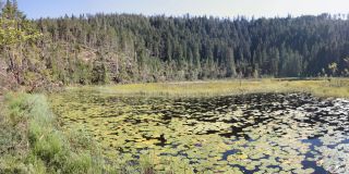 Озеро в северной черной пуще: Huzenbacher озеро