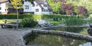 Маленький парк в Schönmünzach