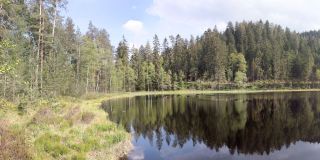 Schurmsee в Черном лесу