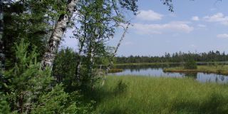 Wild озеро возле Kaltenbronn